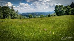 IMG_20180525_124549_HDR