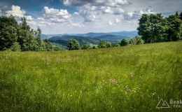IMG_20180525_124549_HDR