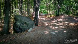 IMG_20180525_150504_HDR