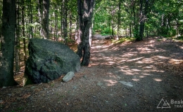 IMG_20180525_150504_HDR