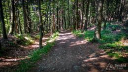 IMG_20180525_151801_HDR