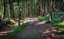 IMG_20180525_151801_HDR