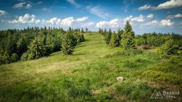 IMG_20180525_165606_HDR