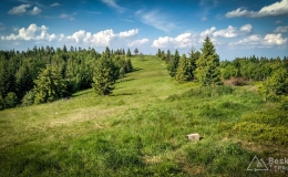 IMG_20180525_165606_HDR