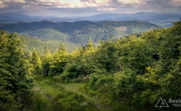 IMG_20180525_175746_HDR