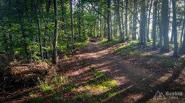 IMG_20180525_181804_HDR