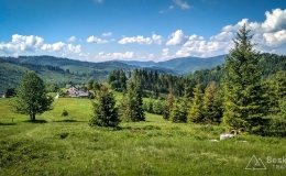 IMG_20180527_093532_HDR