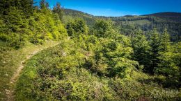 IMG_20180527_095641_HDR