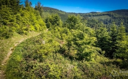 IMG_20180527_095641_HDR