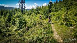 IMG_20180527_095715_HDR