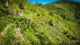 IMG_20180527_100157_HDR