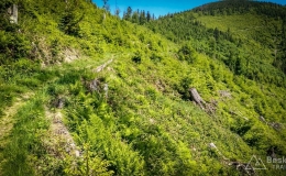 IMG_20180527_100157_HDR