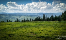IMG_20180527_104850_HDR