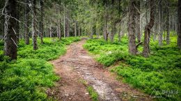 IMG_20180527_104959_HDR