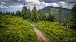 IMG_20180527_114032_HDR