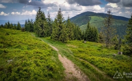 IMG_20180527_114032_HDR
