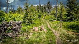 IMG_20180527_120337_HDR