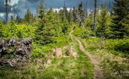 IMG_20180527_120337_HDR