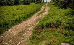 IMG_20180527_152652_HDR