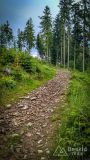 IMG_20180527_181136_HDR