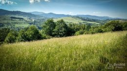 IMG_20180531_091432_HDR