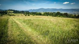 IMG_20180531_093220_HDR