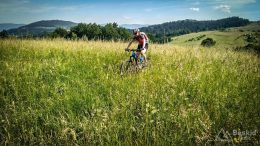 IMG_20180531_093716_HDR