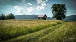 IMG_20180531_094200_HDR