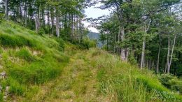 IMG_20180620_111135_HDR