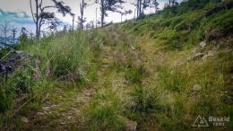 IMG_20180620_111144_HDR