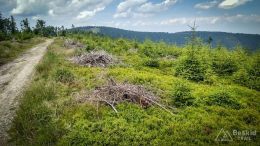 IMG_20180620_112113_HDR