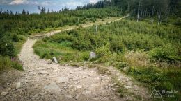 IMG_20180620_114414_HDR