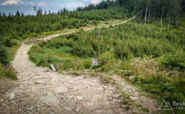 IMG_20180620_114414_HDR