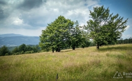IMG_20180620_120637_HDR