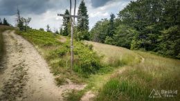 IMG_20180620_122204_HDR