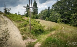 IMG_20180620_122204_HDR