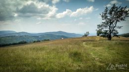 IMG_20180620_144608_HDR