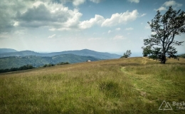 IMG_20180620_144608_HDR