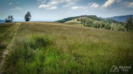 IMG_20180620_144707_HDR