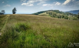 IMG_20180620_144707_HDR