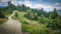 IMG_20180620_152228_HDR