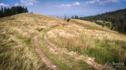 IMG_20180724_165141_HDR