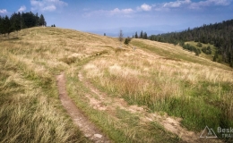 IMG_20180724_165141_HDR