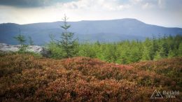 IMG_20180724_171258_HDR