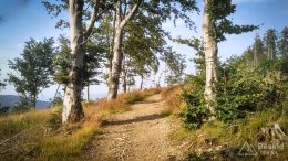 IMG_20180724_174847_HDR