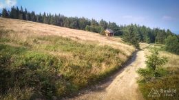 IMG_20180724_175500_HDR