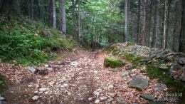 IMG_20180724_175922_HDR