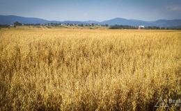 IMG_20180724_183635_HDR