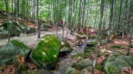 IMG_20180815_113254_HDR