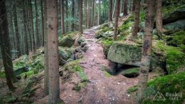 IMG_20180815_141521_HDR